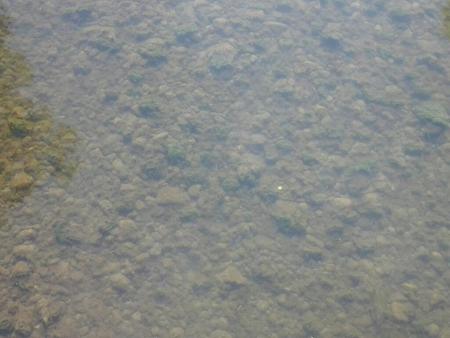 Re: EL ASON CONTAMINADO